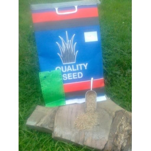 Grass Seed Chicken Run Mix