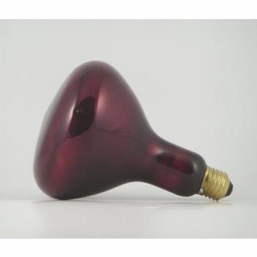 Heat Lamp Bulb (Red)