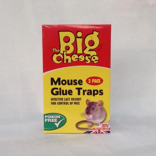 The Big Cheese - Mouse Glue Traps