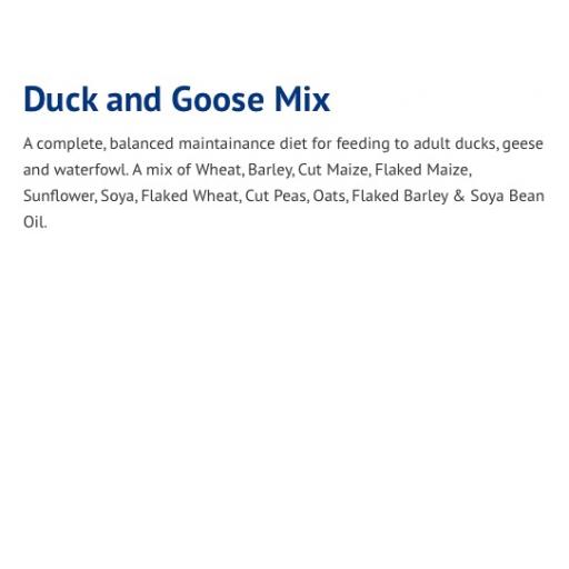 Duck_and_Goose_Mix___ForFarmers_UK.jpg