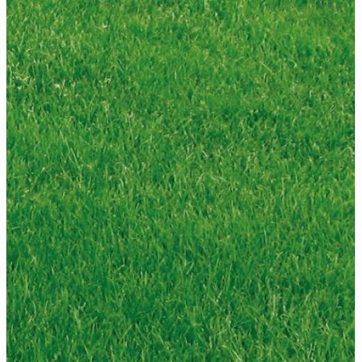 Grass Seed - Premium Lawn / Pen Mix - 1kg