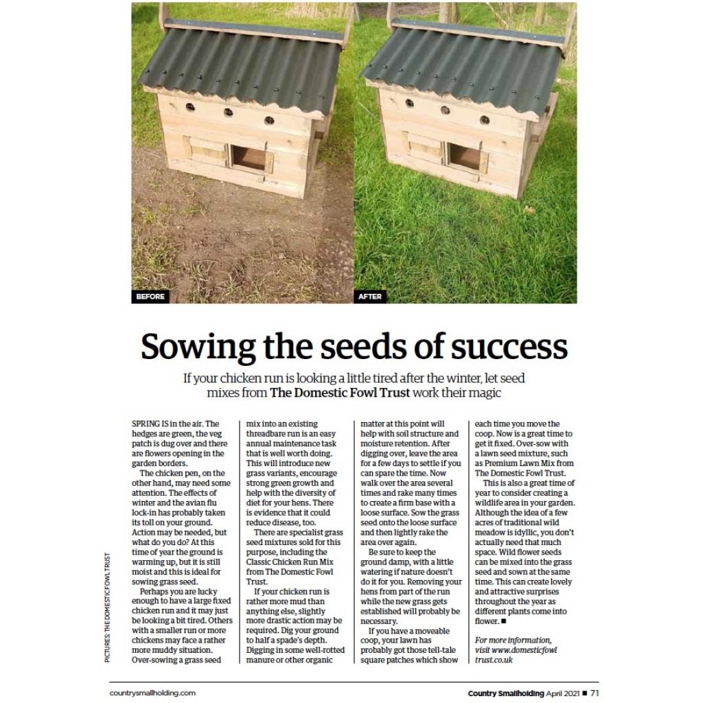 Grass Seed Chicken Run Mix