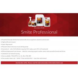 Smite_Professional_–_Smite_Professional.jpg