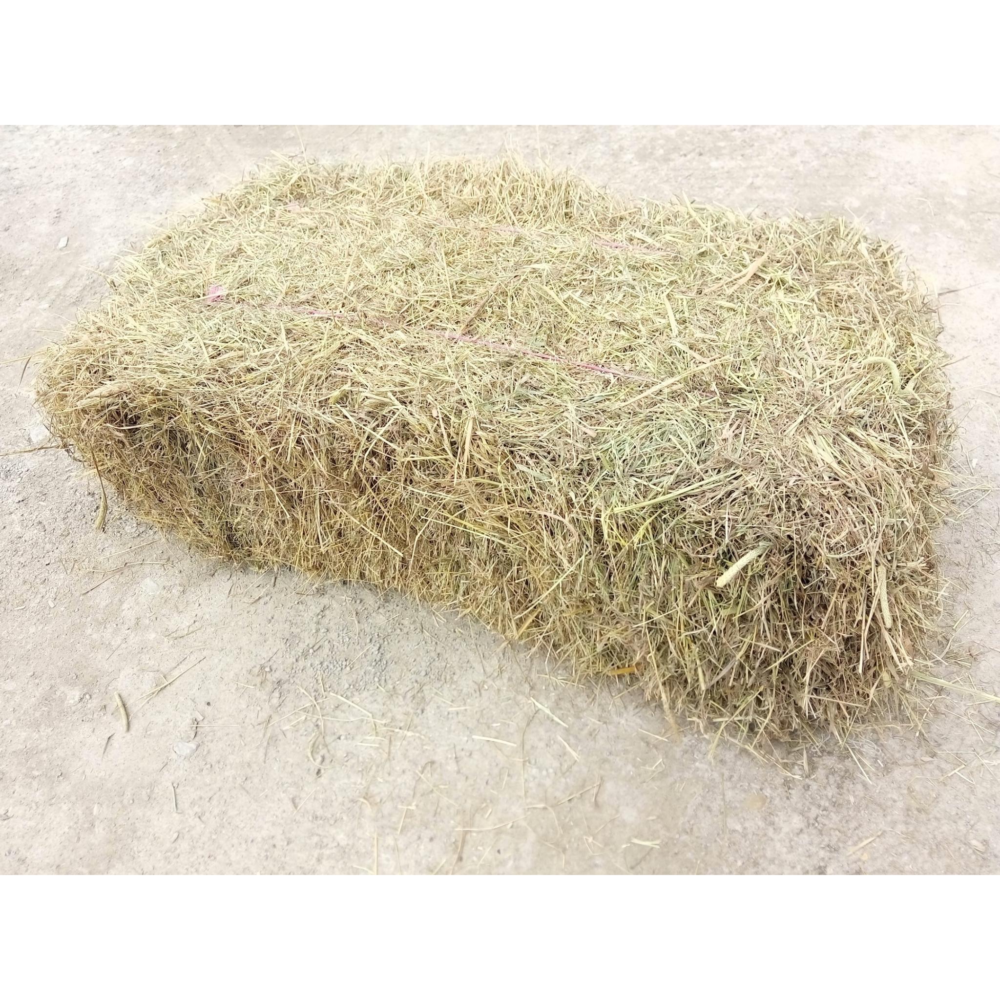 Hay bale