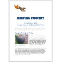Keeping Poultry page 1.jpg