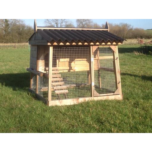 Half Pint Penthouse Coop.jpg