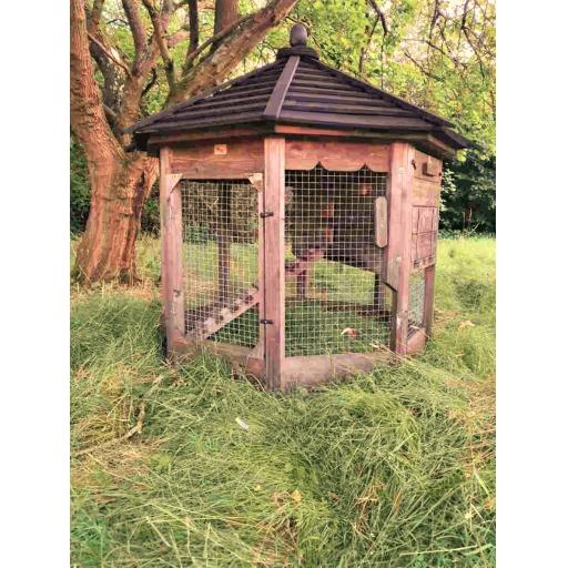 Octagonal garden hen House Small.jpg