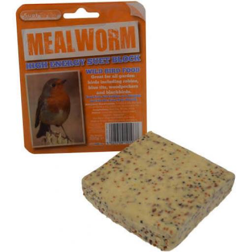 Suet Block with Mealworms
