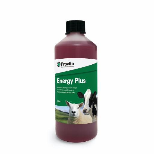 Provita Energy Plus (500ml)