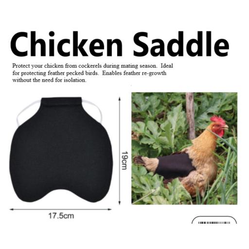 Chicken Saddle