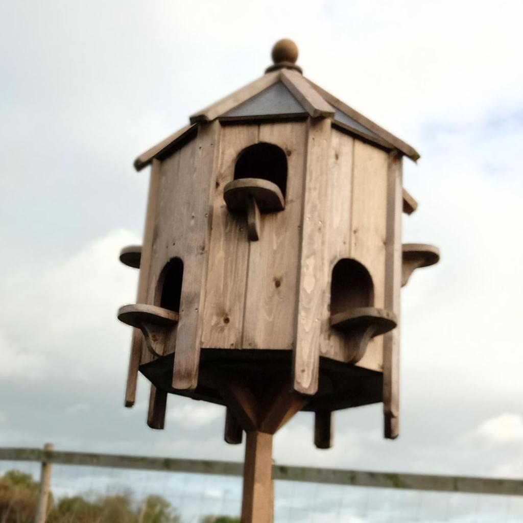 Picture of Housing | Domestic Fowl Trust