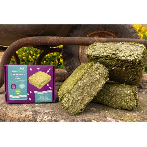 Silvermoor Grassabix block with Linseed