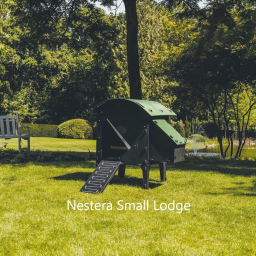 Nestera Small Lodge a.jpg