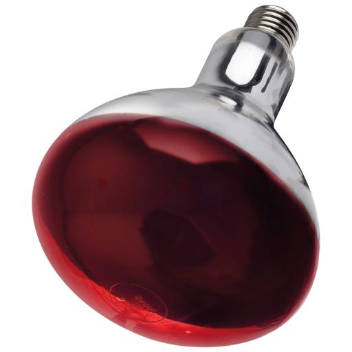 Heat Lamp Bulb (Red)